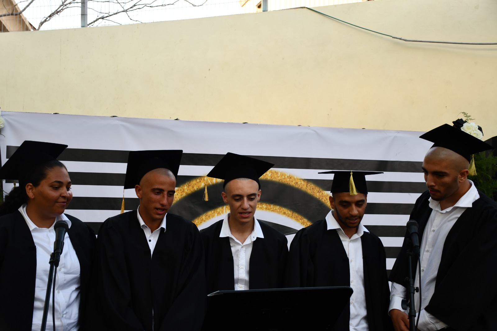 newimagenrh431b (61).jpeg